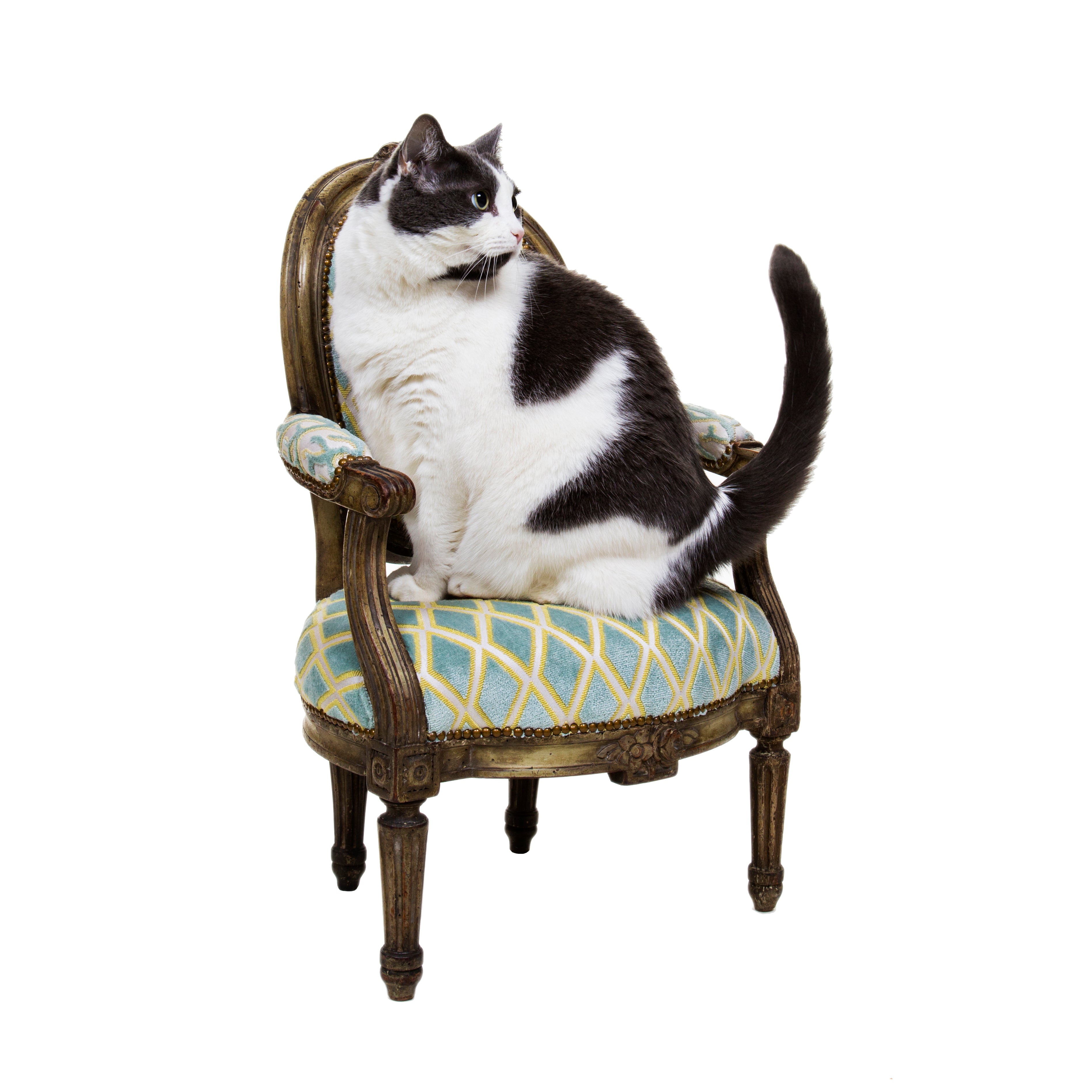 Petite Fauteuil à la Reine, France (Louis XVI)